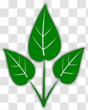 Leaf Blog Clip Art - Autumn Color - Green Leaves Transparent PNG