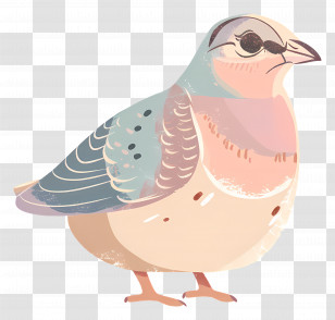 Quail - Cute Cartoon Bird Transparent PNG