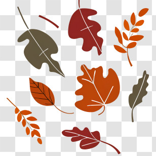 Autumn Leaves - Colorful Autumn Leaves Design For Seasonal Decor Transparent PNG