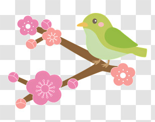 Spring - Green Bird On A Cherry Blossom Branch Transparent PNG