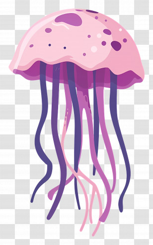 Jelly - Pink Artistic Jellyfish Illustration Transparent PNG