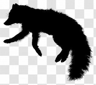 Arctic Fox Silhouette - Black Fox Silhouette Illustration Transparent PNG