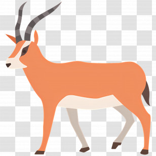 Antelope - Antelope Illustration In Cartoon Style Transparent PNG