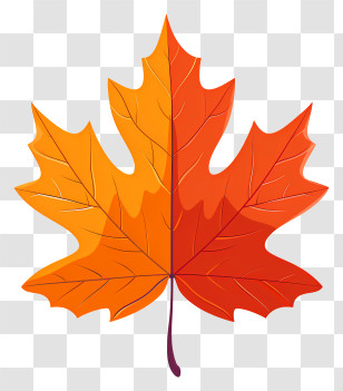 Maple Leaf - Bright Orange Autumn Leaf Illustration Transparent PNG
