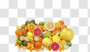 Lemon Orange Grapefruit Limoncello - Rutaceae Transparent PNG