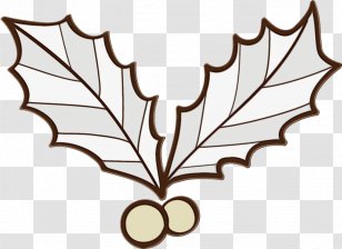 Plane - Plant - Holly Transparent PNG