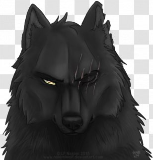 Black Wolf Coyote Pack Drawing - And White Transparent PNG