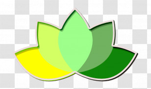 Leaf Icon Plant Icon Wellness & Spa Icon Transparent PNG