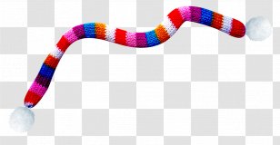 Snake Cartoon - Reptile - Elapidae Kingsnake Transparent PNG