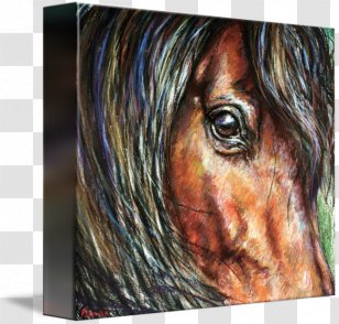 Painting Paper Mustang Drawing Stallion Transparent PNG