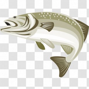 Largemouth Bass Stock Photography Green Sunfish Image - Frame - Fish Transparent PNG