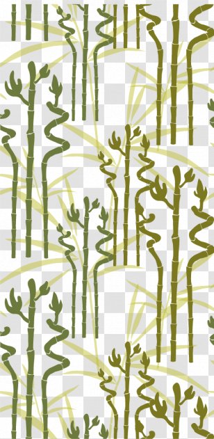 Euclidean Vector Lucky Bamboo - Bamboe - Background Shading Material Transparent PNG