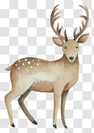 Watercolor Illustration - Graceful Deer With Majestic Antlers Transparent PNG