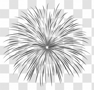 Fireworks Silver - Abstract Black Firework Burst Design Transparent PNG