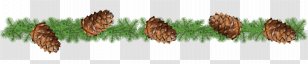 Hair Coloring Grasses Family - Commodity - Pine Watercolor Transparent PNG