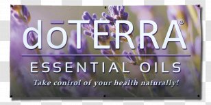 DoTerra Essential Oil Dietary Supplement Health, Fitness And Wellness - Young Living Transparent PNG