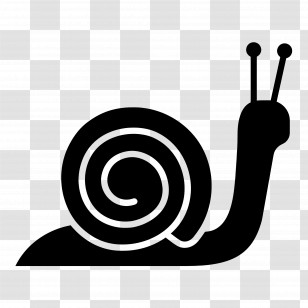 Snail - Black Snail Silhouette With Spiral Detail Transparent PNG