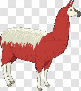 Llama Clip Art - Wildlife - LLAMA Transparent PNG