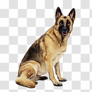 Police Cartoon - Tervuren - Fawn Transparent PNG