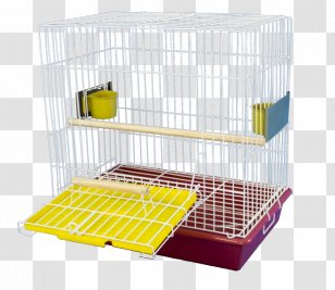 Cockatiel Birdcage Pet Ornamental Plant - Pop Music - Gaiola Transparent PNG