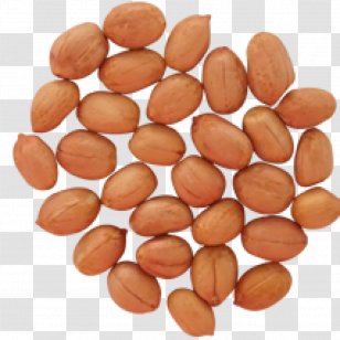 Deep-fried Peanuts Maylari Agro Products Ltd. Boiled - Wilco - Deepfried Transparent PNG