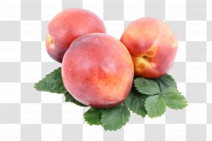 European Plum Peach Fruit Plant Food - Nectarines Transparent PNG