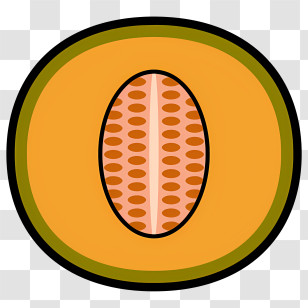 Fruit - Orange Cantaloupe Fruit Illustration Transparent PNG