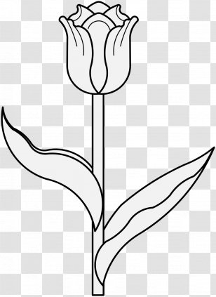 Tulip Clip Art Flower Floral Design Desktop Wallpaper - Floristry Transparent PNG