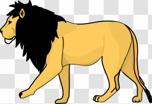 White Lion Black And Clip Art - Organism - Image, Free Image Download, Picture, Lions Transparent PNG