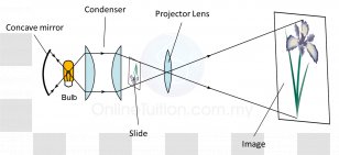 Form 5 4 Center Of Curvature Concave Function Mirror - Technology - Area Transparent PNG