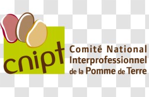 Potato Logo Brand Amidonnerie Design - Yellow Transparent PNG