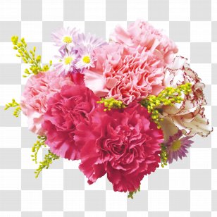 Flower Bouquet Carnation Floral Design Cut Flowers - Dianthus - Pink Rose Transparent PNG