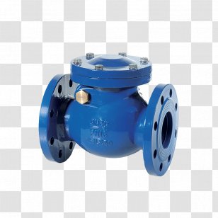 Check Valve Flange Ball Nominal Pipe Size - Double Transparent PNG