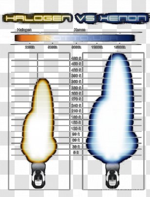 High-intensity Discharge Lamp Incandescent Light Bulb Xenon Headlamp Lighting - Silhouette - Cartoon Transparent PNG