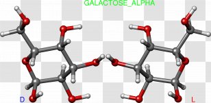 Galactose Gulose Carbohydrate Glucose Bicycle Handlebars - Handlebar - Galactose1phosphate Uridylyltransferase Transparent PNG