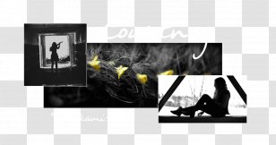 Brand Desktop Wallpaper Picture Frames - Photographic Paper - Design Transparent PNG