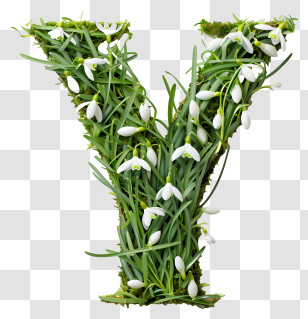 Floral Letter Y - Floral Letter Y With White Snowdrops Transparent PNG