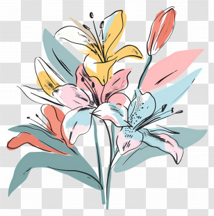 Lily Bouquet - Artistic Colorful Lily Flowers Illustration Transparent PNG