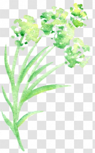Green Petal Watercolor Painting Flower - Organism - Simple Floral Transparent PNG