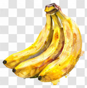 Bananas - Watercolor Illustration Of Yellow Bananas Transparent PNG