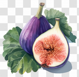 Watercolor Fig - Purple Figs With Leaves Illustration Transparent PNG
