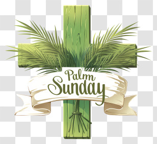 Palm Sunday - Palm Sunday Illustration Transparent PNG