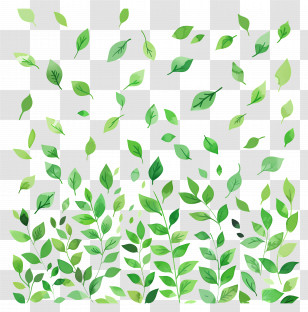 Green Background - Vibrant Green Leaf Pattern Design Transparent PNG