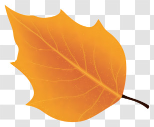 Leaf Veins - Orange Autumn Leaf Illustration Transparent PNG