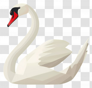 White Swan - Graceful Swan Illustration With White Plumage Transparent PNG