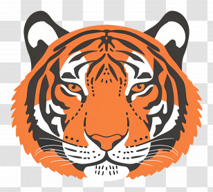 Tiger Head - Illustration Of A Tigerâ€™s Face Transparent PNG