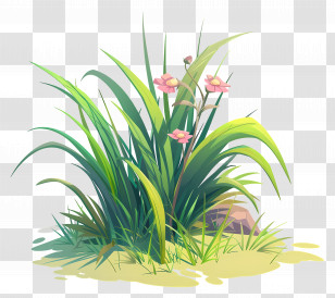 Grass Flower - Lush Green Plants By Stones Transparent PNG