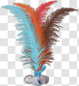 Feather Clip Art Image Jianzi - Tail Transparent PNG