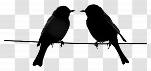 Birds Sitting On A Wire - Silhouette Of Two Birds On Wire Transparent PNG