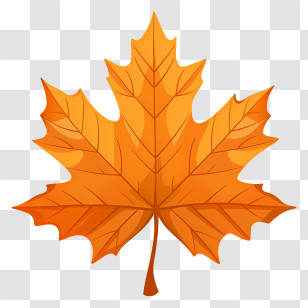 Maple Leaf - Autumn Orange Maple Leaf For Fall Season Transparent PNG